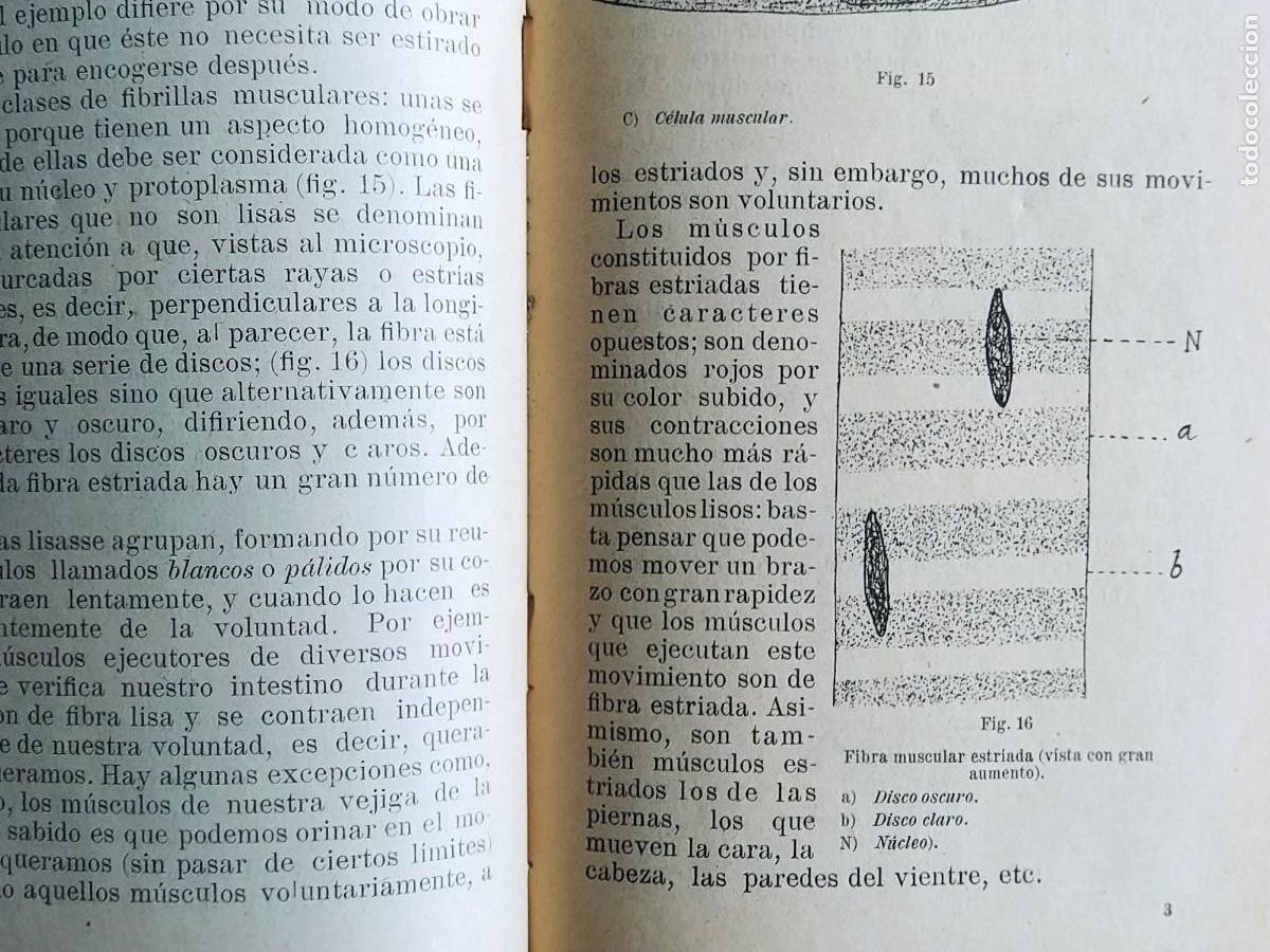 Libros antiguos: LECTURAS BIOLOGICAS, E. FERNANDEZ GALIANO, 1916 - Foto 3