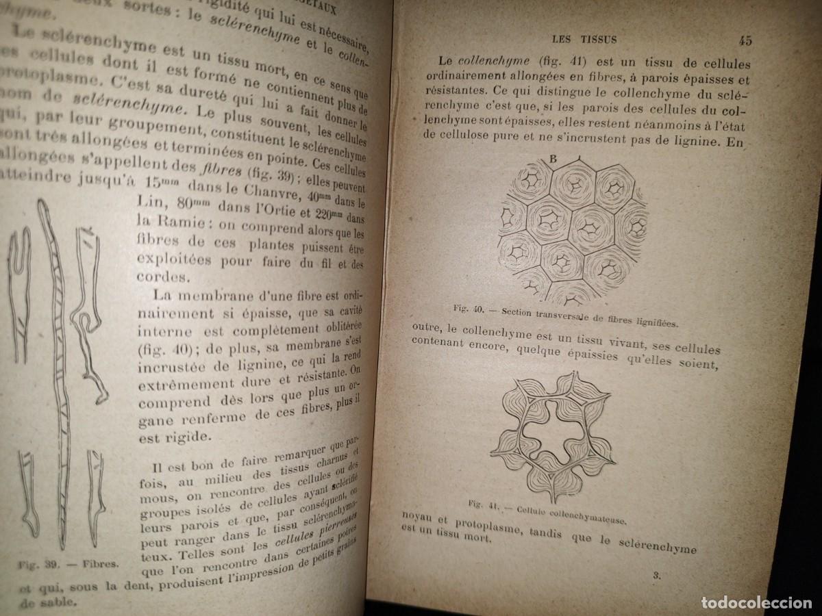 Libros antiguos: 65- COURS DE BOTANIQUE - G. COLOMB - 1897 - Foto 5