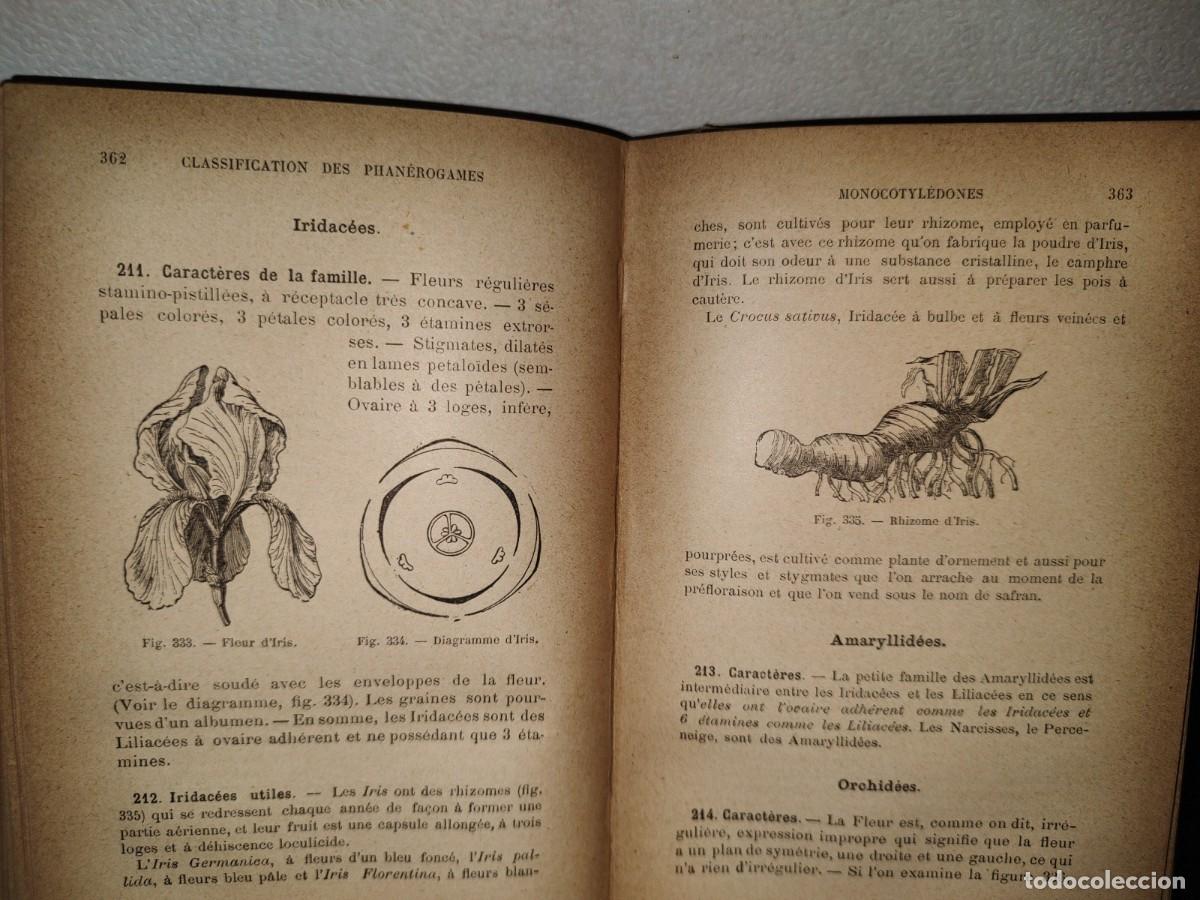 Libros antiguos: 65- COURS DE BOTANIQUE - G. COLOMB - 1897 - Foto 6