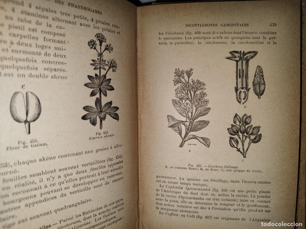 Libros antiguos: 65- COURS DE BOTANIQUE - G. COLOMB - 1897 - Foto 7