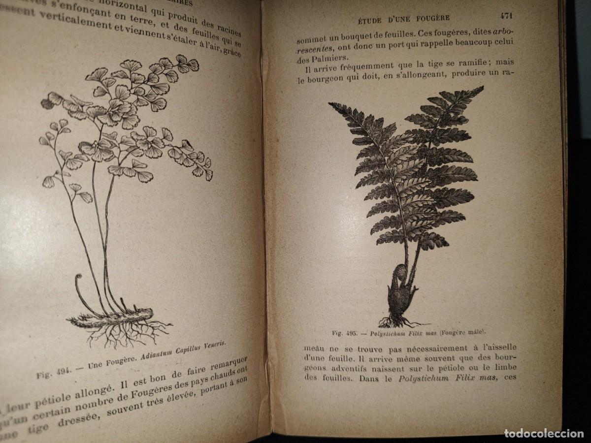 Libros antiguos: 65- COURS DE BOTANIQUE - G. COLOMB - 1897 - Foto 8