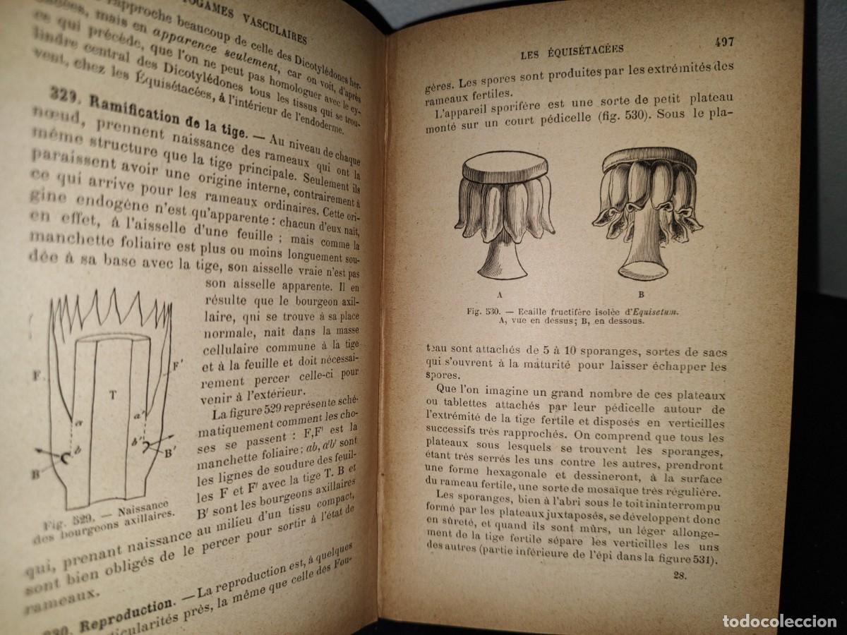 Libros antiguos: 65- COURS DE BOTANIQUE - G. COLOMB - 1897 - Foto 9