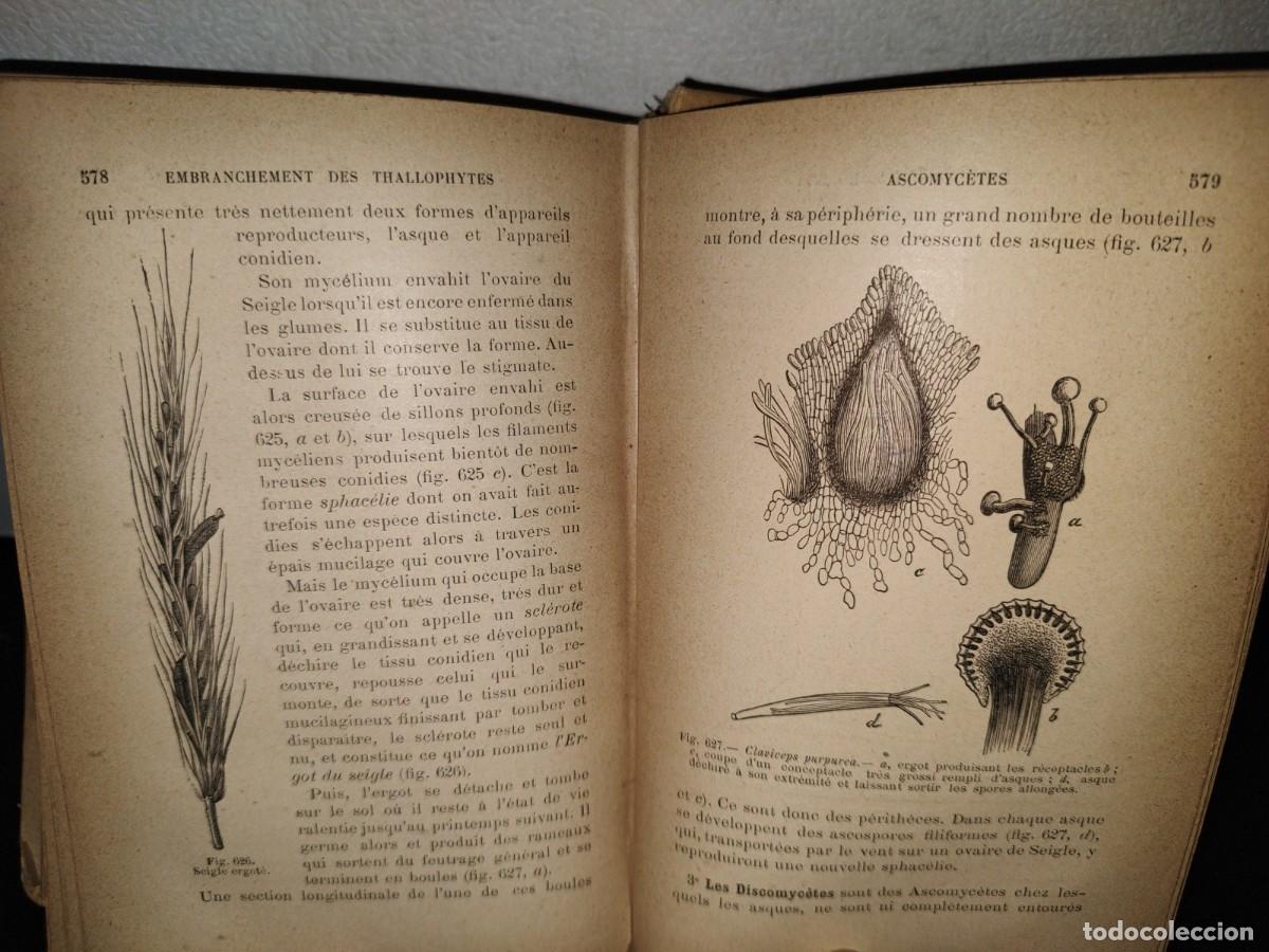 Libros antiguos: 65- COURS DE BOTANIQUE - G. COLOMB - 1897 - Foto 10