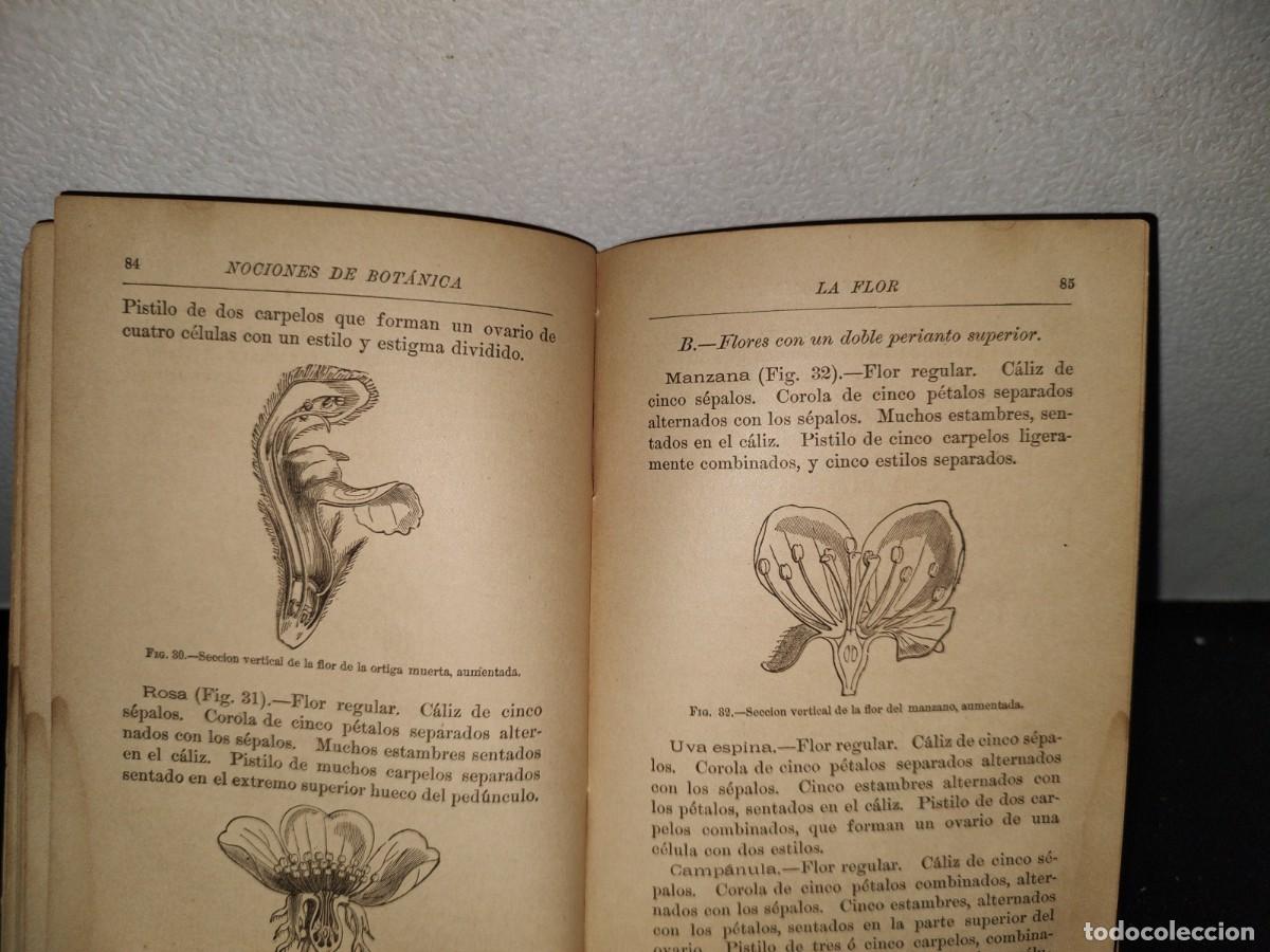 Libros antiguos: 65- NOCIONES DE BOT&Aacute;NICA - J. D. HOOKER - 1881 - Foto 8