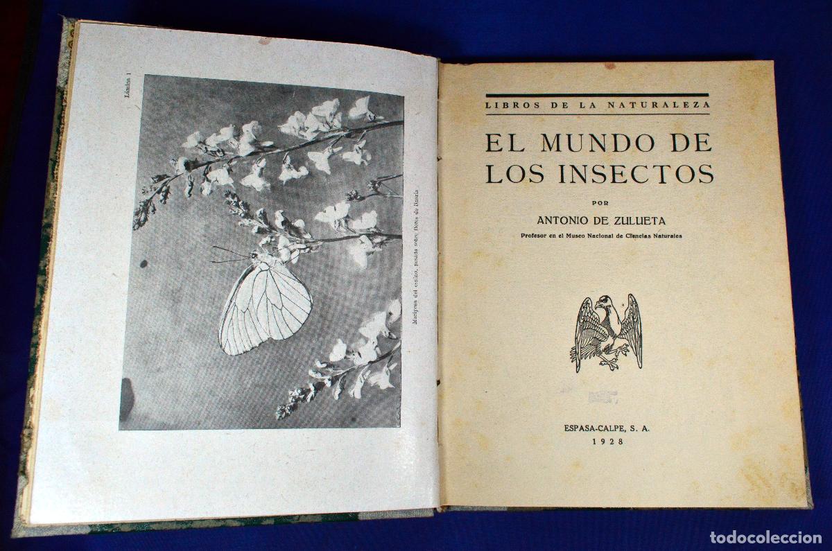 Libros antiguos: El mundo de los INSECTOS - Foto 1