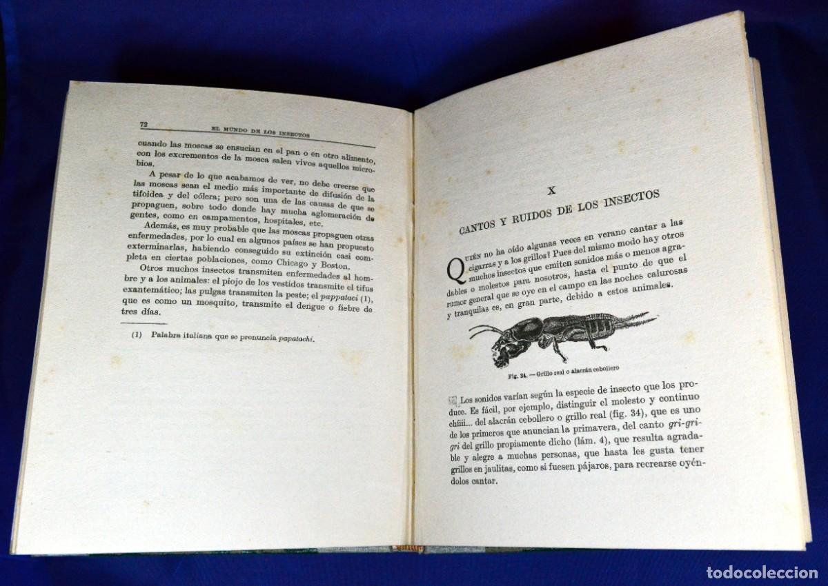 Libros antiguos: El mundo de los INSECTOS - Foto 4