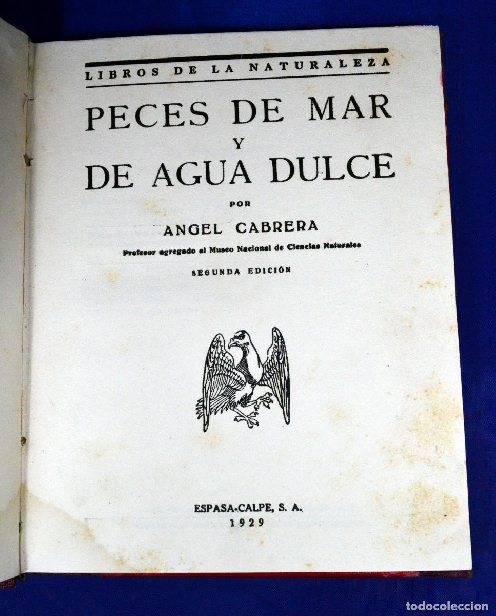 Libros antiguos: PECES de MAR y de AGUA DULCE - Foto 1