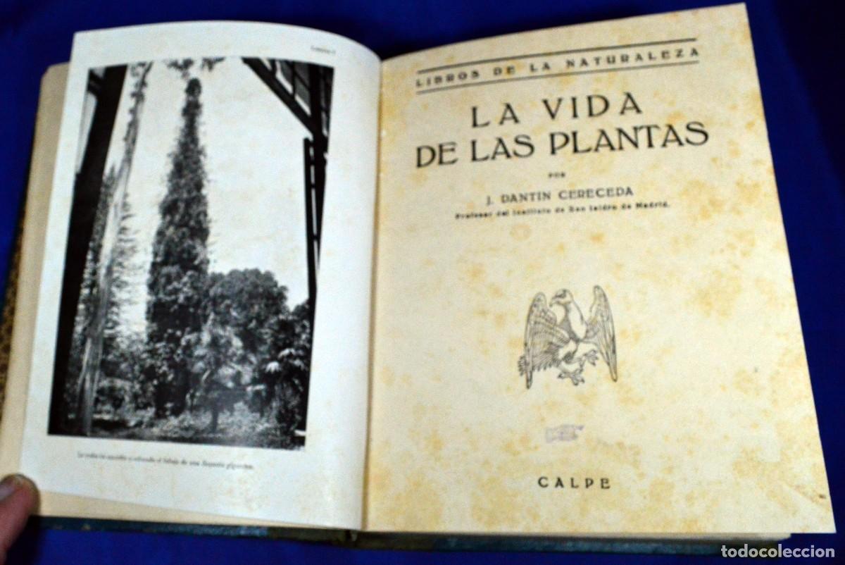Libros antiguos: La vida de las PLANTAS y La vida de las FLORES - Foto 1