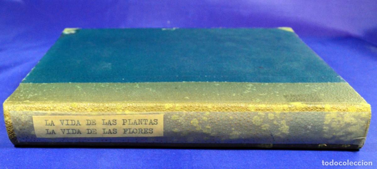 Libros antiguos: La vida de las PLANTAS y La vida de las FLORES - Foto 4