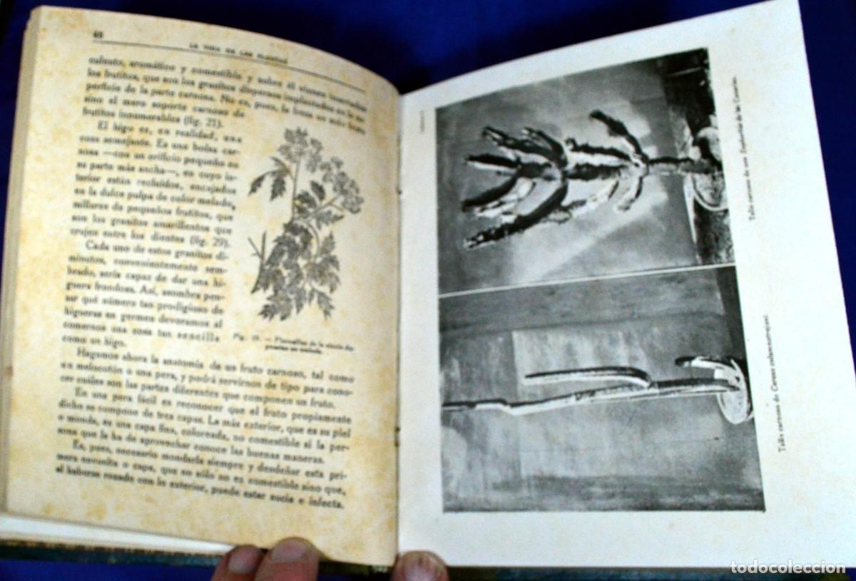 Libros antiguos: La vida de las PLANTAS y La vida de las FLORES - Foto 5