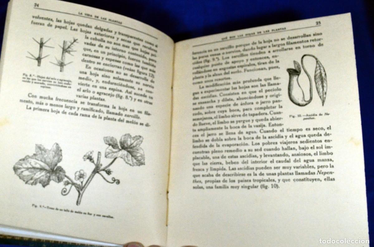 Libros antiguos: La vida de las PLANTAS y La vida de las FLORES - Foto 6