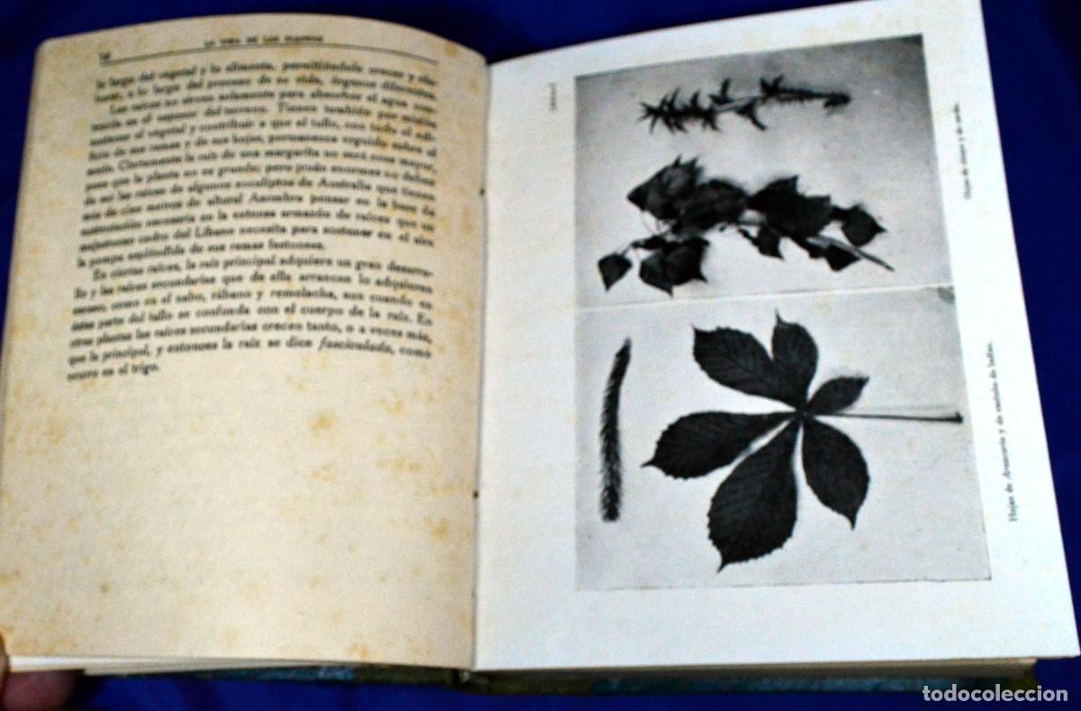 Libros antiguos: La vida de las PLANTAS y La vida de las FLORES - Foto 7