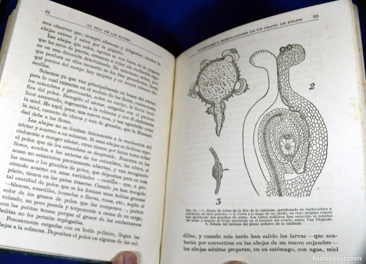 Libros antiguos: La vida de las PLANTAS y La vida de las FLORES - Foto 8