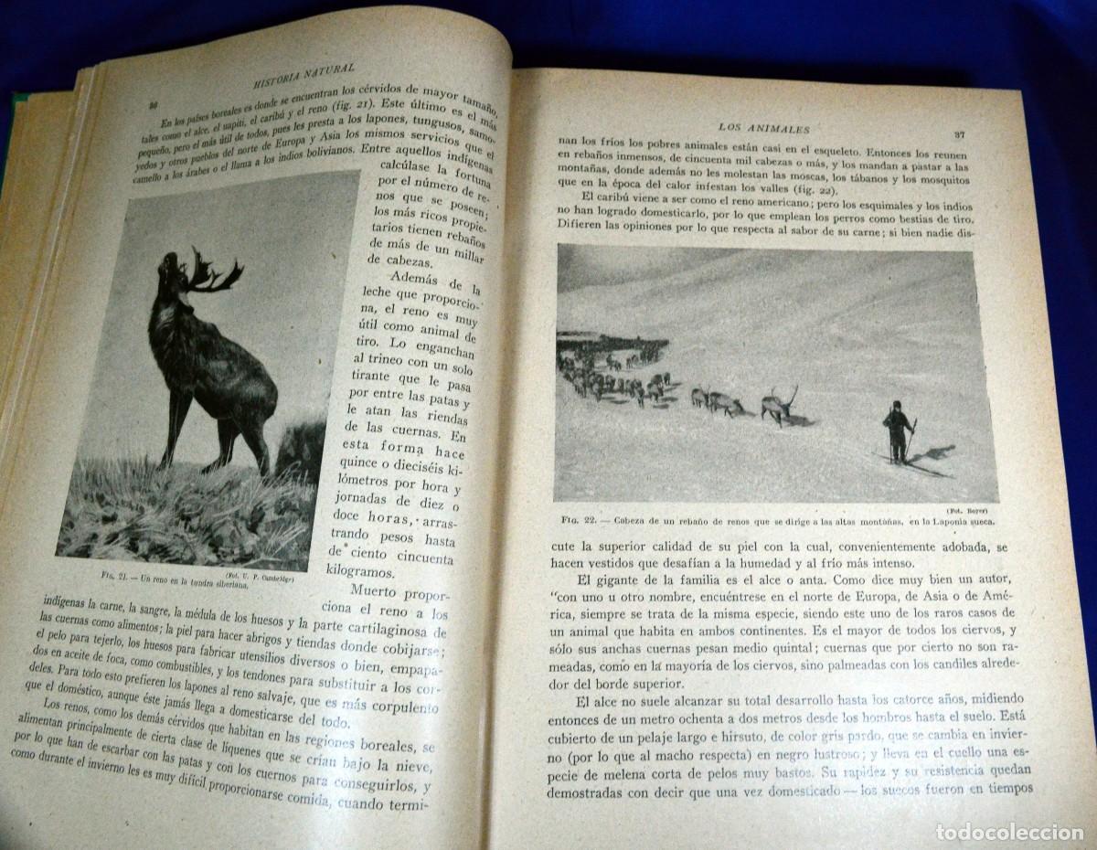 Libros antiguos: HISTORIA NATURAL DE LA CREACI&Oacute;N - Foto 4