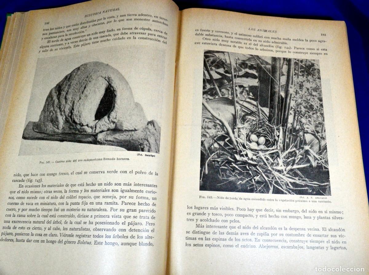 Libros antiguos: HISTORIA NATURAL DE LA CREACI&Oacute;N - Foto 6