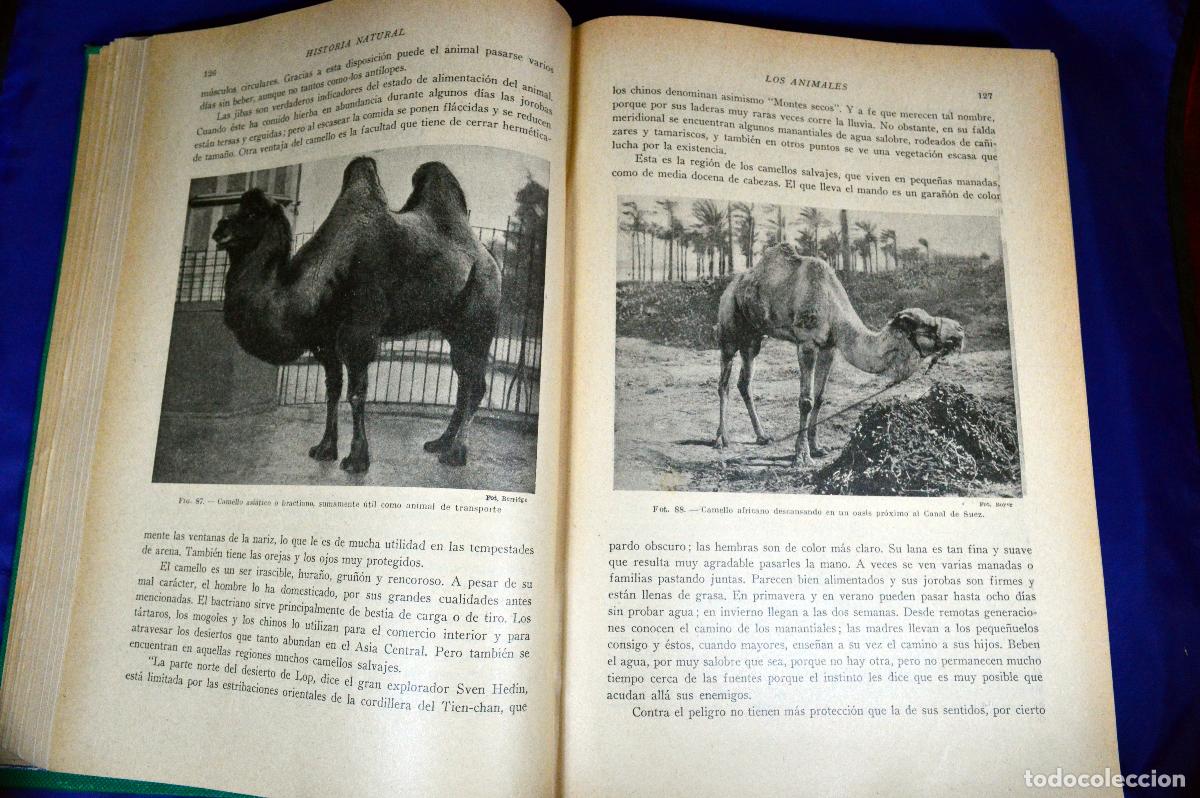 Libros antiguos: HISTORIA NATURAL DE LA CREACI&Oacute;N - Foto 7