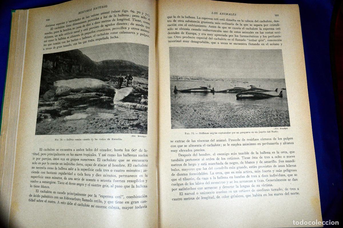 Libros antiguos: HISTORIA NATURAL DE LA CREACI&Oacute;N - Foto 8