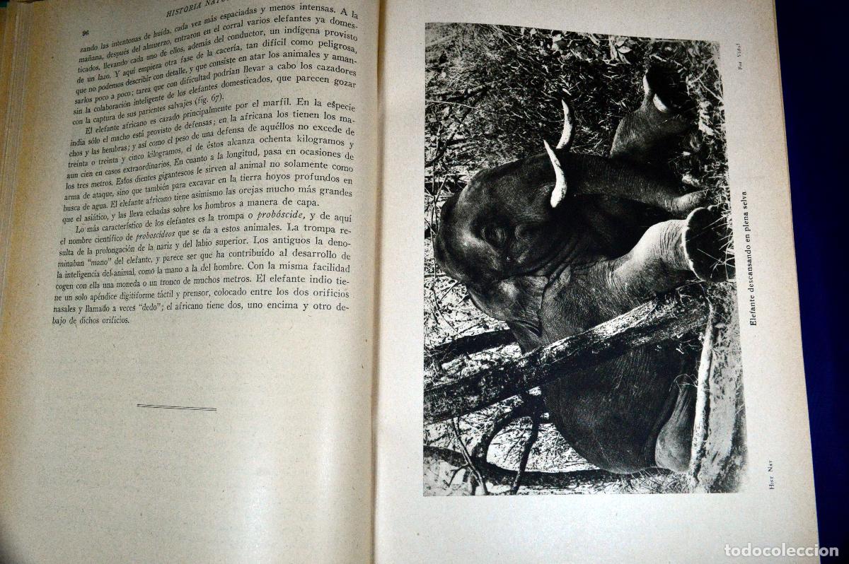 Libros antiguos: HISTORIA NATURAL DE LA CREACI&Oacute;N - Foto 9