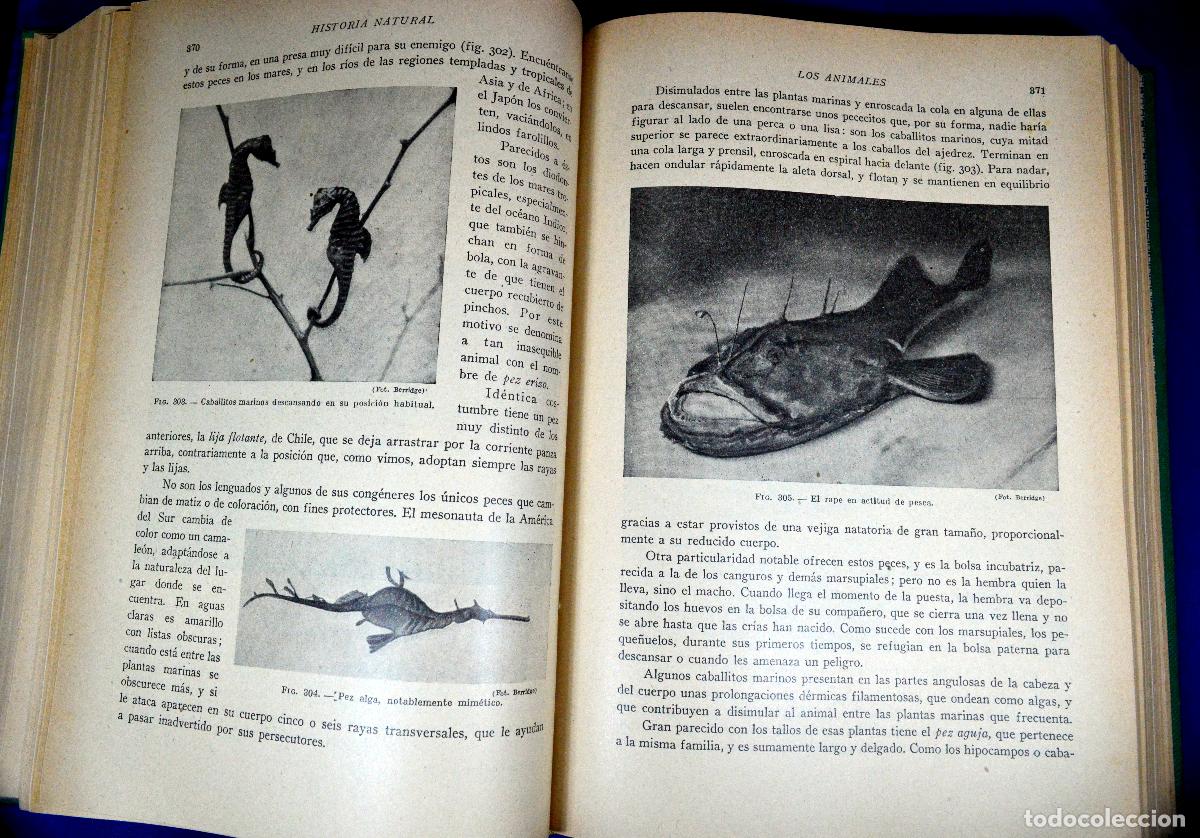 Libros antiguos: HISTORIA NATURAL DE LA CREACI&Oacute;N - Foto 10