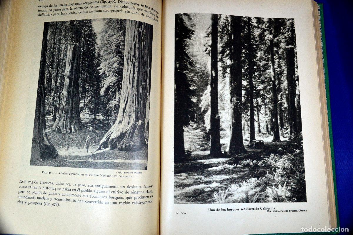 Libros antiguos: HISTORIA NATURAL DE LA CREACI&Oacute;N - Foto 11