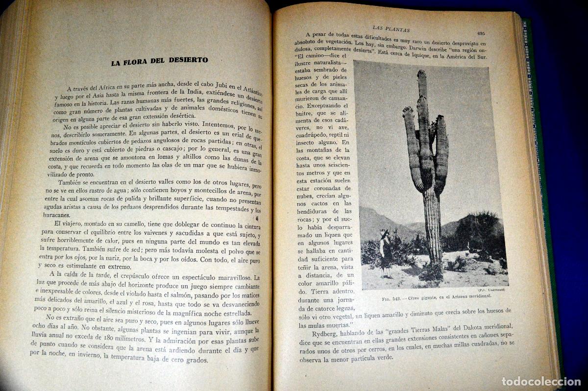 Libros antiguos: HISTORIA NATURAL DE LA CREACI&Oacute;N - Foto 13
