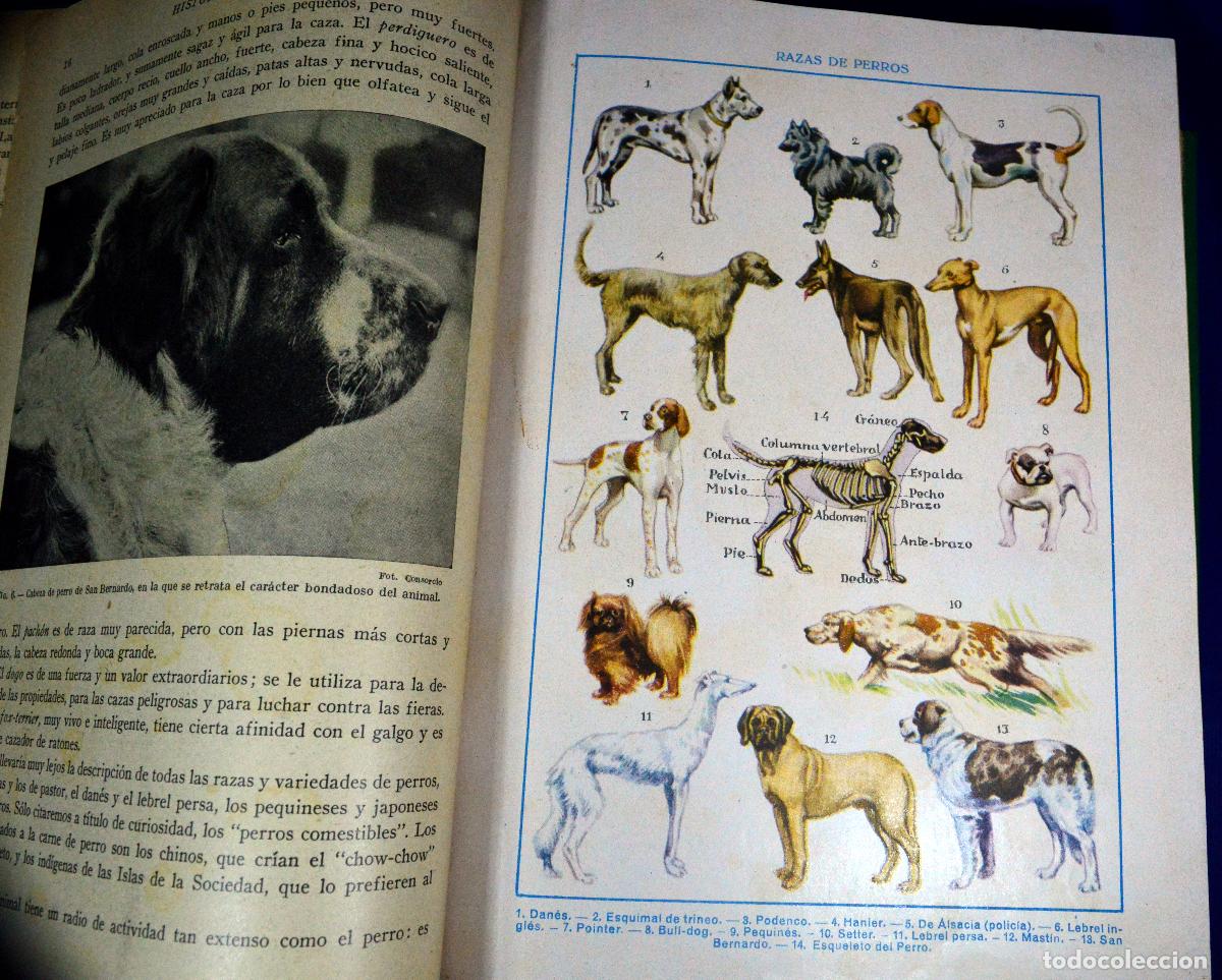 Libros antiguos: HISTORIA NATURAL DE LA CREACI&Oacute;N - Foto 14