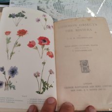 Libros antiguos: 1ª ED. 1913 PLANTAS, FLORES DE LA RIVIERA COMMON OBJECTS OF THE RIVIERA BY CHAMBERLAIN EN INGLES. Lote 395951789