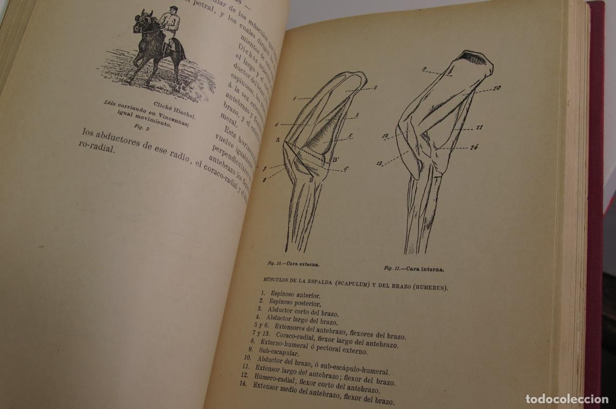 Libros antiguos: 1906. EL MODELO Y LOS AIRES. GAST&Eacute; - Foto 3