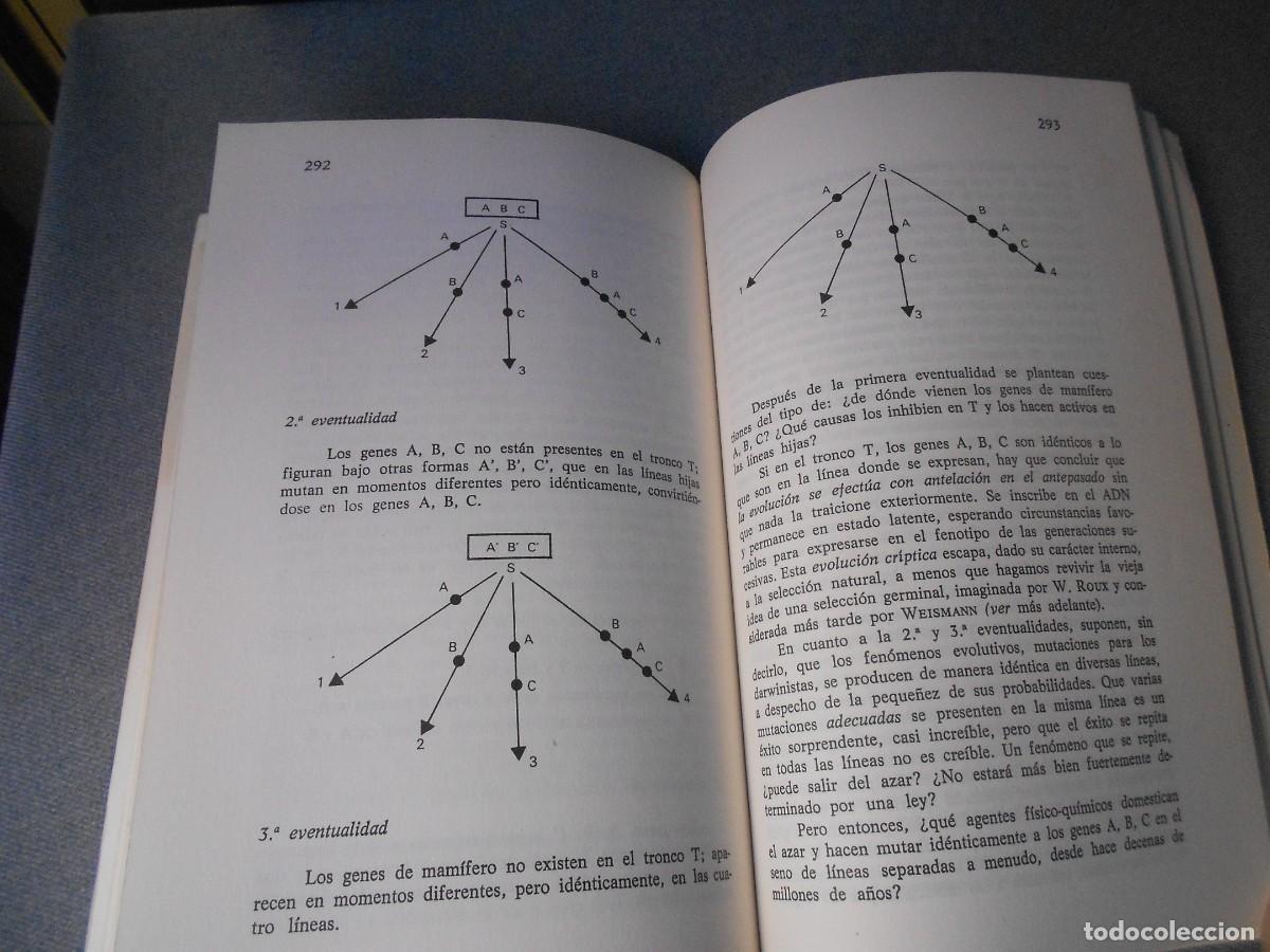 Libros antiguos: EVOLUCION DE LO VIVIENTE - Foto 3