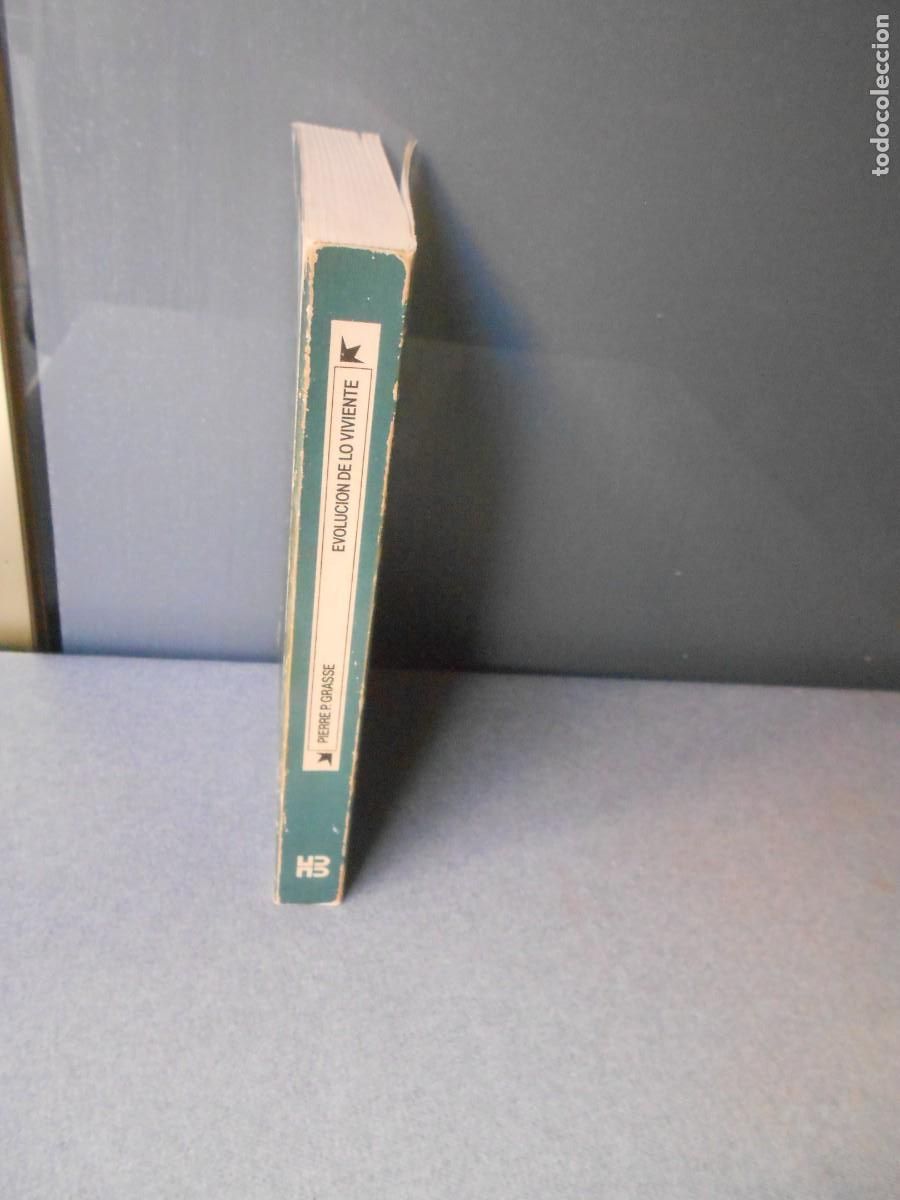 Libros antiguos: EVOLUCION DE LO VIVIENTE - Foto 5