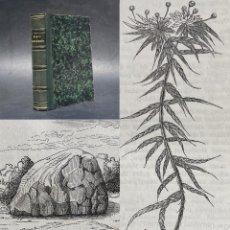 Libros antiguos: AÑO 1856 - CIENCIA FORESTAL Y CLIMATOLOGÍA - LIBRO EN ALEMÁN - GRABADOS