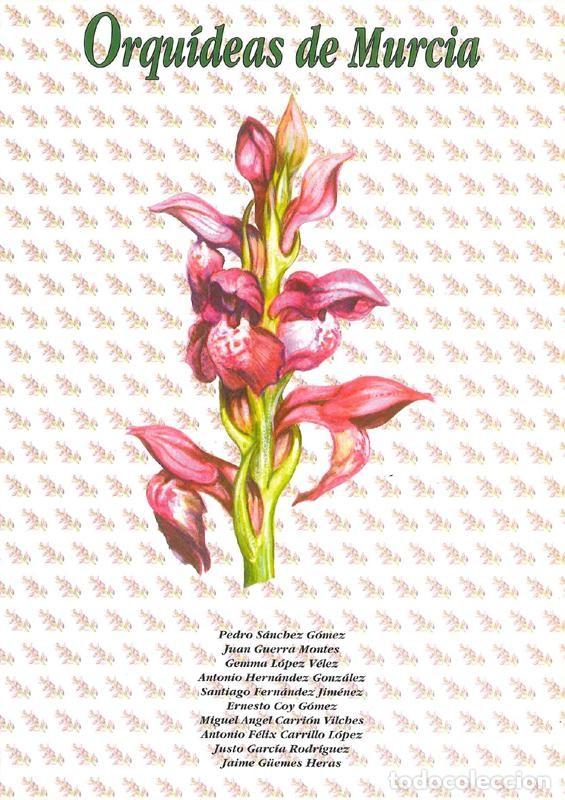 Libros antiguos: Orqu&iacute;deas de Murcia - Foto 1