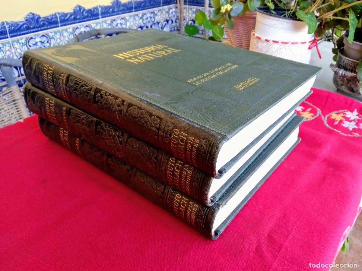 Libros antiguos: Libros antiguos de historia natural - Foto 1