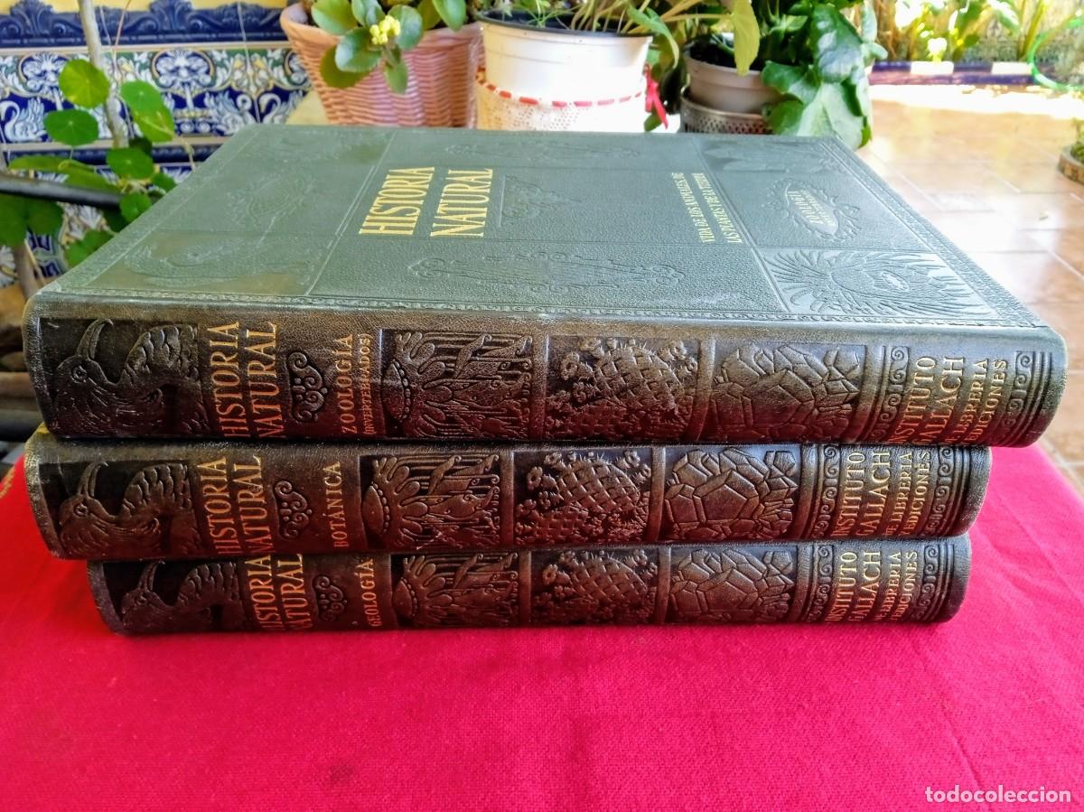 Libros antiguos: Libros antiguos de historia natural - Foto 2