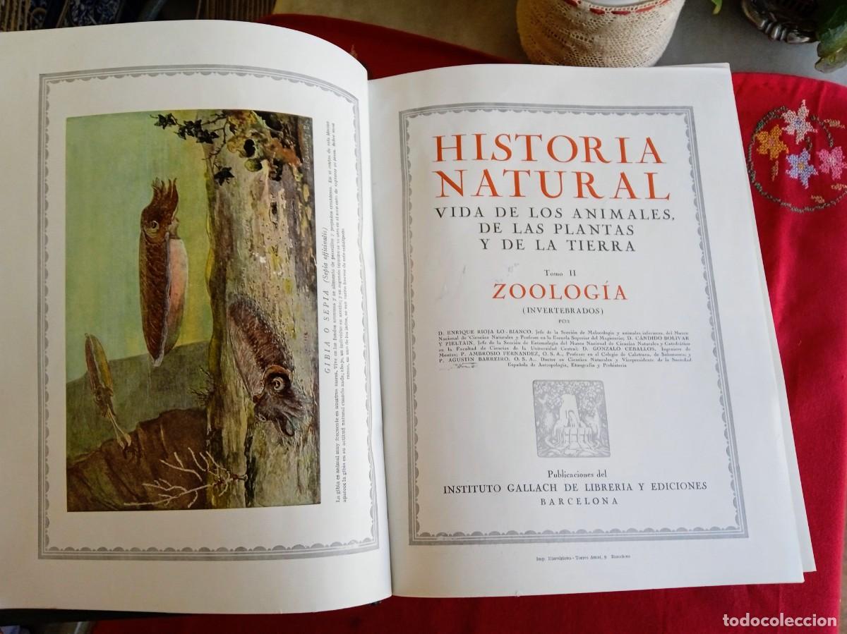 Libros antiguos: Libros antiguos de historia natural - Foto 3