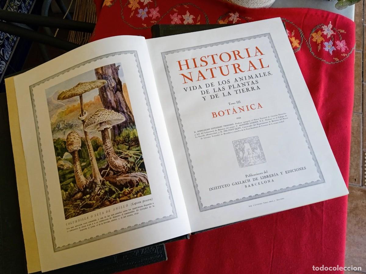 Libros antiguos: Libros antiguos de historia natural - Foto 5