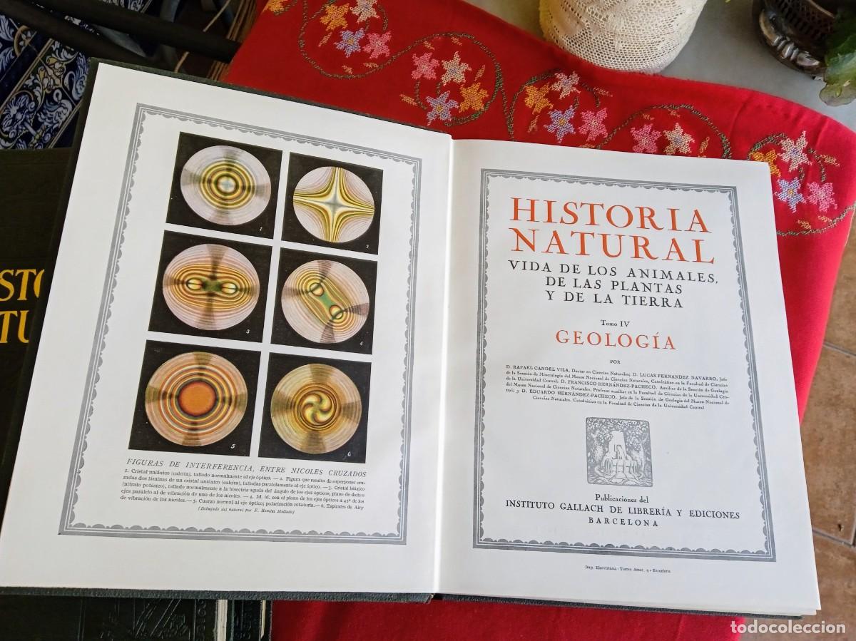 Libros antiguos: Libros antiguos de historia natural - Foto 6