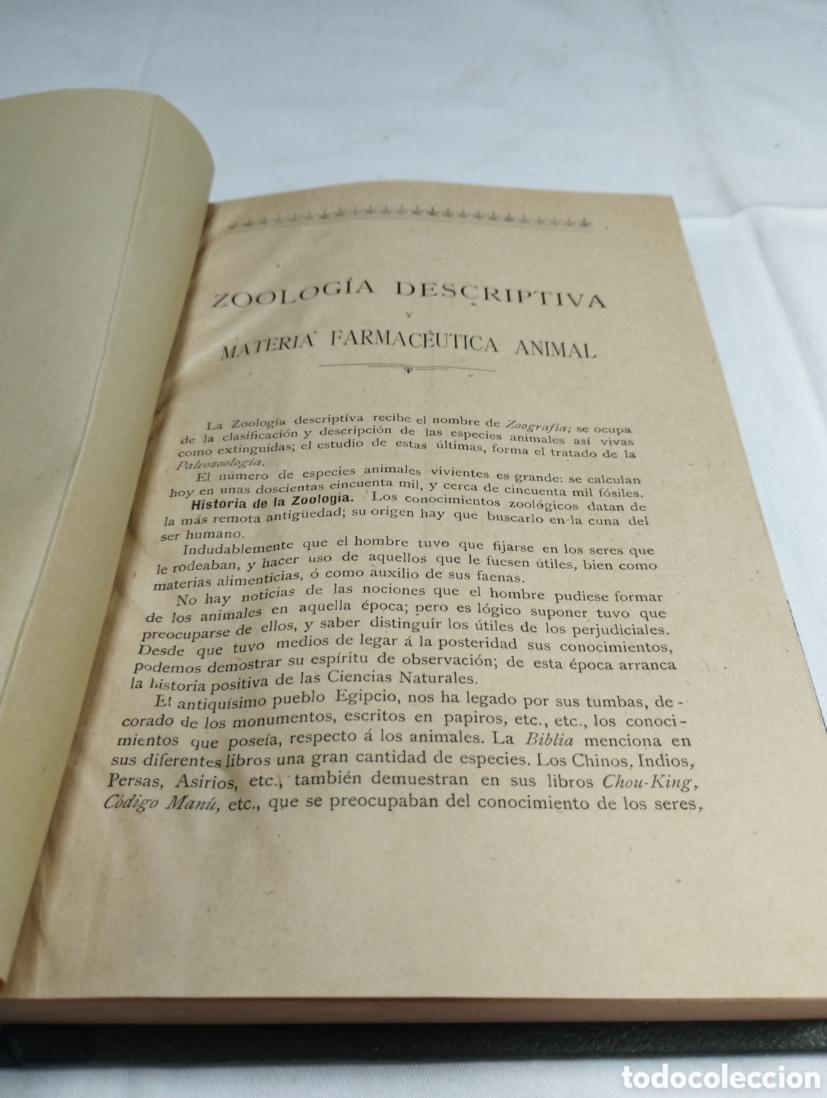 Libros antiguos: Zoolog&iacute;a descriptiva KKB - Foto 3