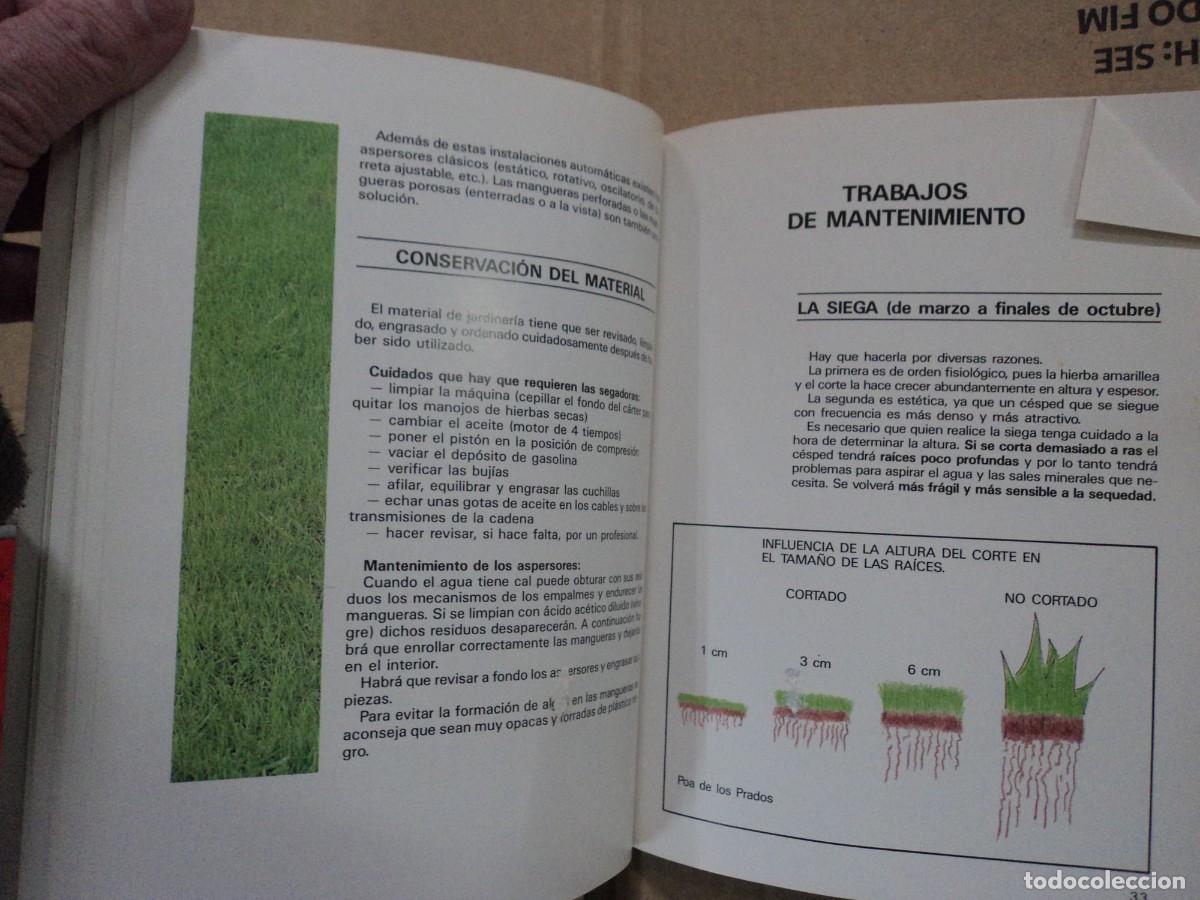 Libros antiguos: El C&eacute;sped -Michael Saur - Foto 3