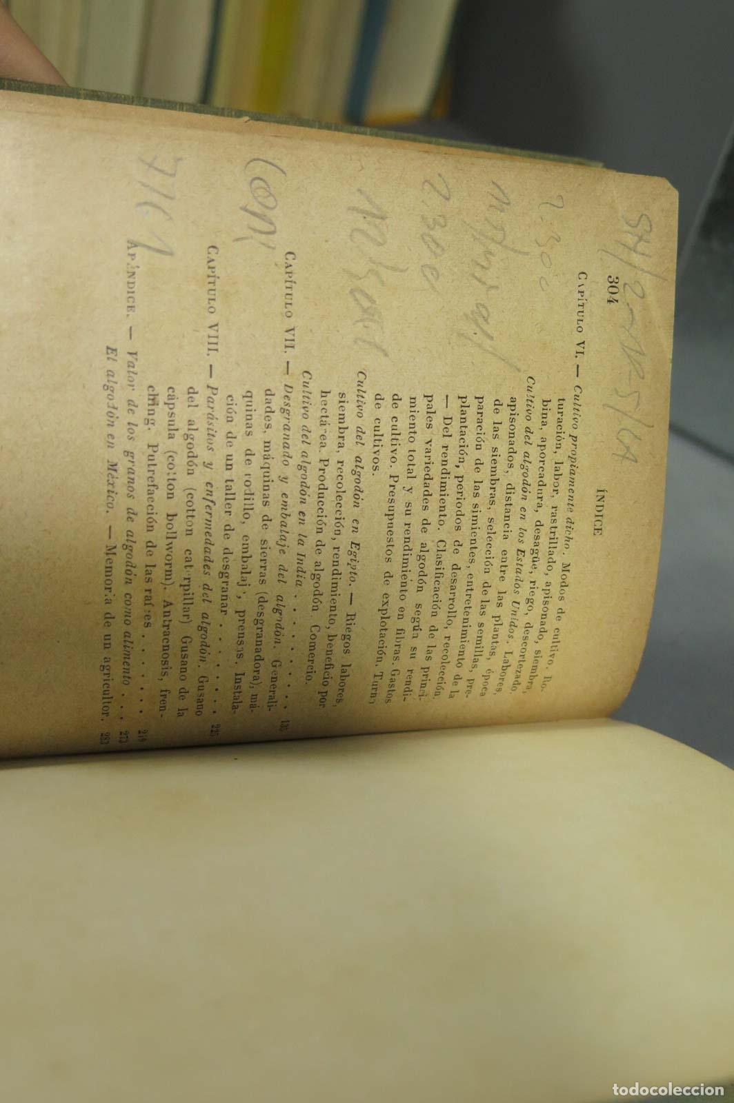 Libros antiguos: EL CULTIVO DEL ALGODON. C. Farmer. 1904 - Foto 3
