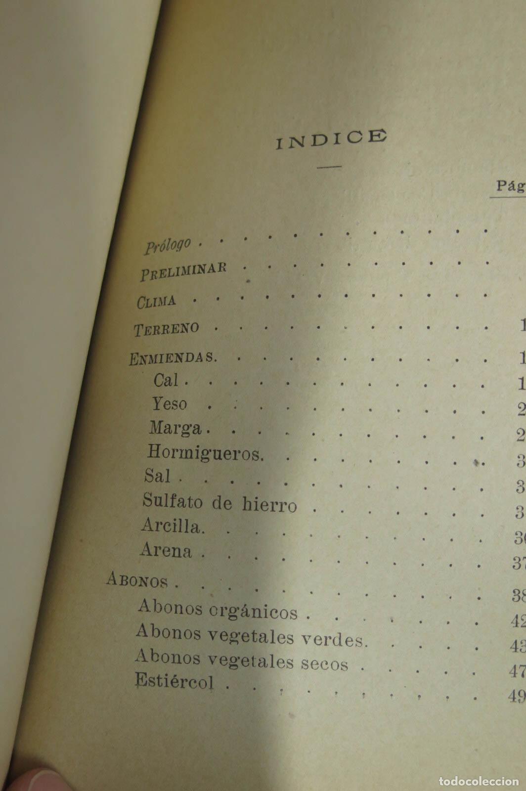 Libros antiguos: 1905. REMOLACHA AZUCARERA Y GORRAGERA. DE JUAN - Foto 2