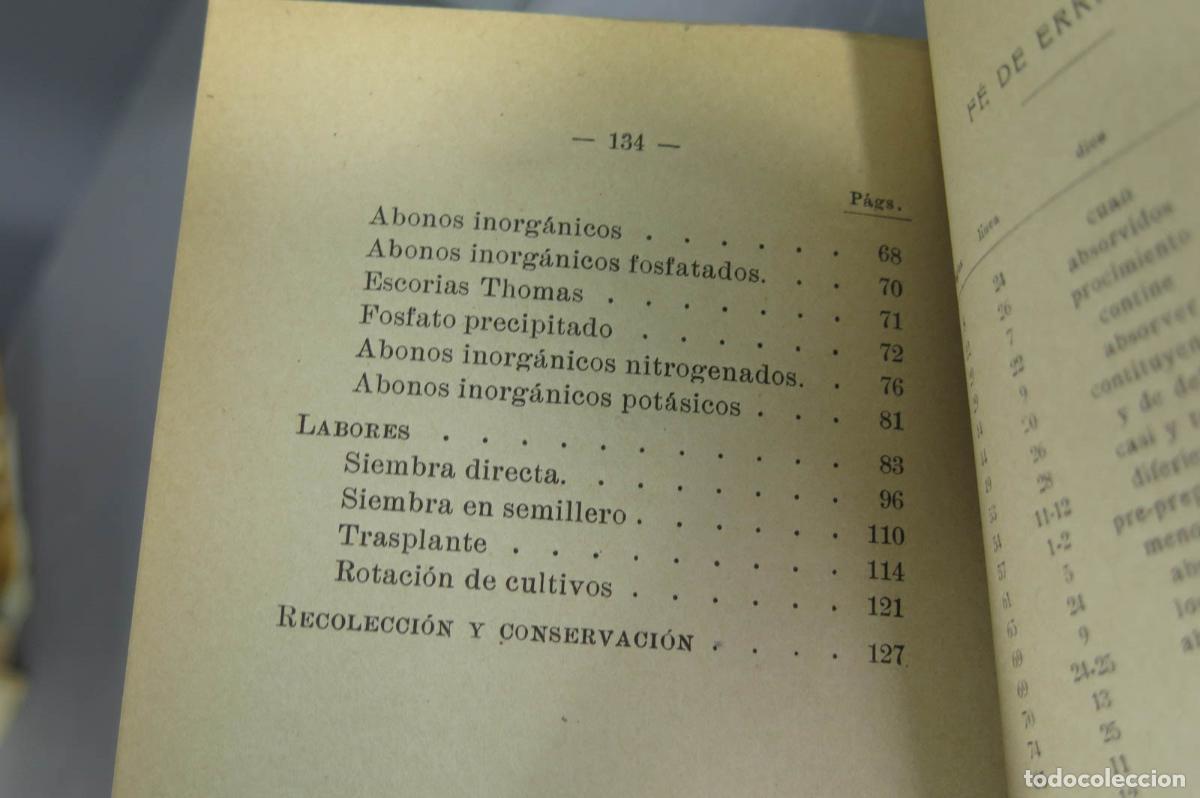 Libros antiguos: 1905. REMOLACHA AZUCARERA Y GORRAGERA. DE JUAN - Foto 3