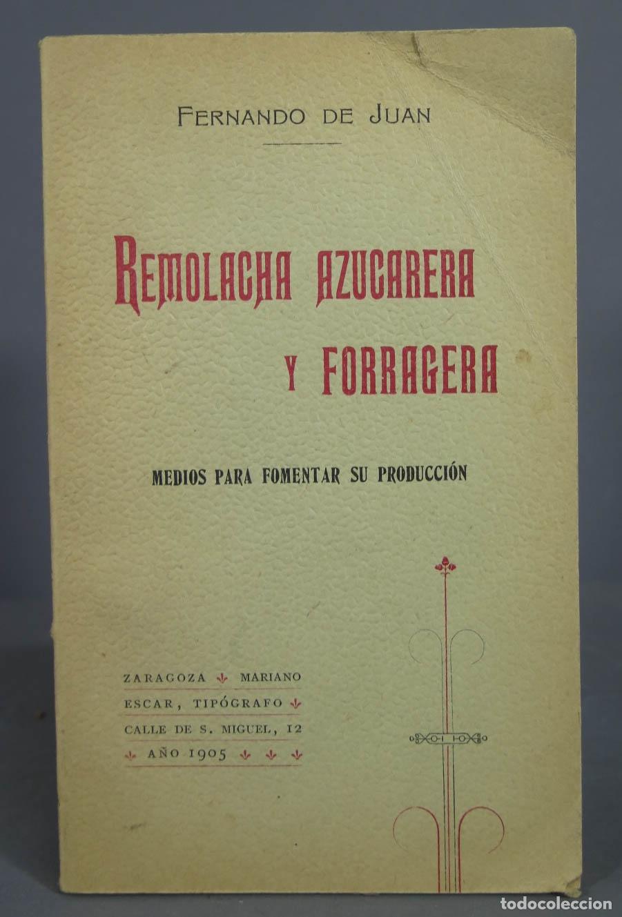 Libros antiguos: 1905. REMOLACHA AZUCARERA Y GORRAGERA. DE JUAN - Foto 1
