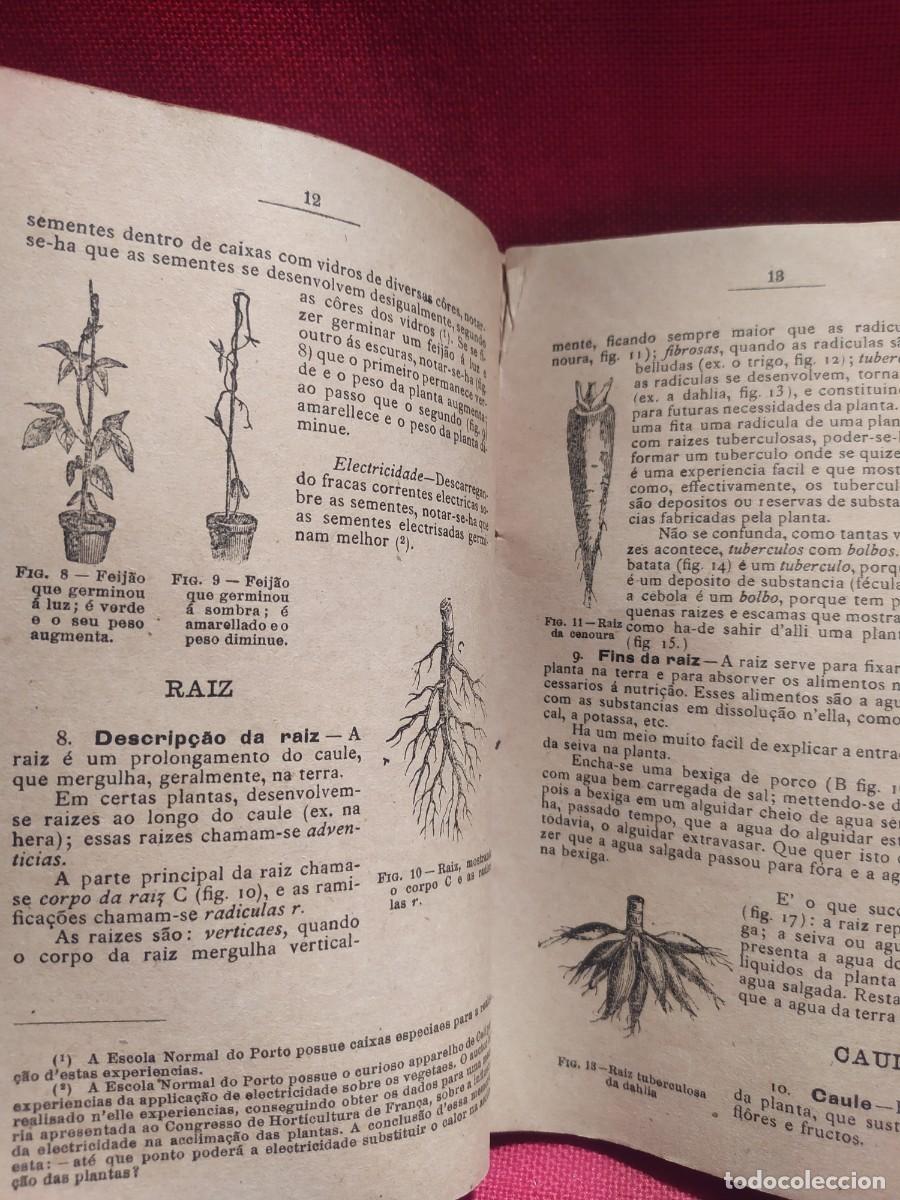 Libros antiguos: 1916. Botanica e agricultura pratica. - Foto 8
