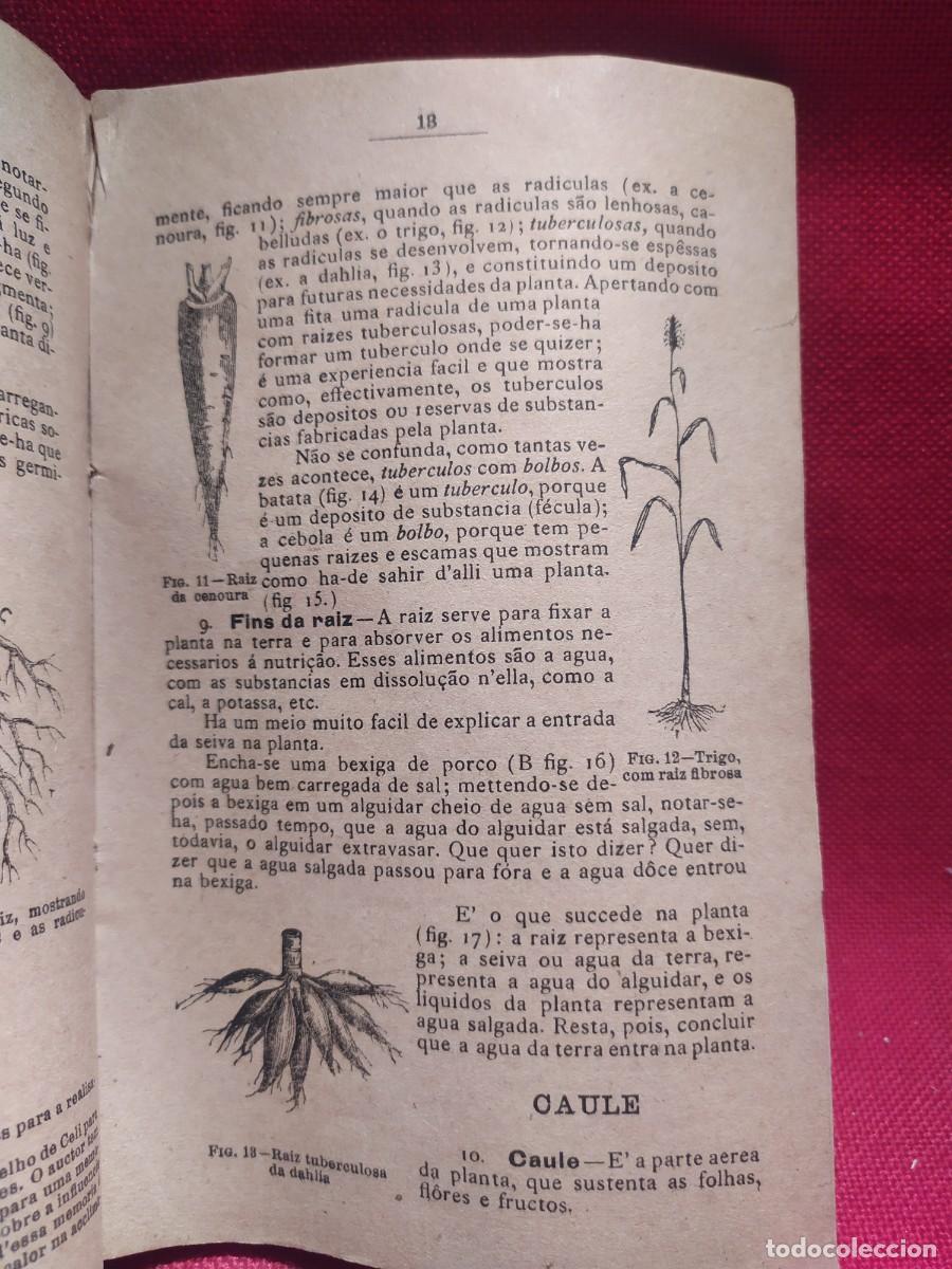 Libros antiguos: 1916. Botanica e agricultura pratica. - Foto 9