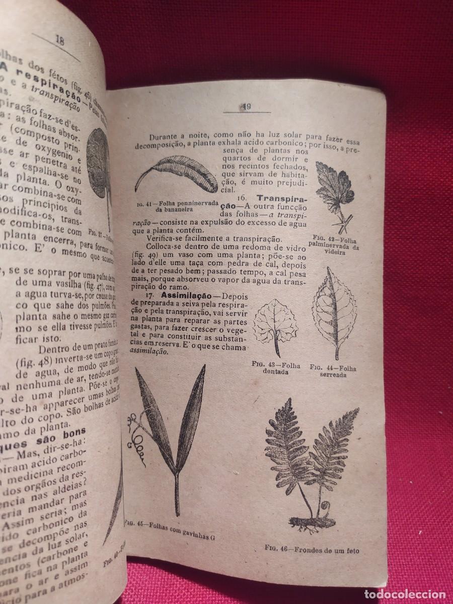 Libros antiguos: 1916. Botanica e agricultura pratica. - Foto 10