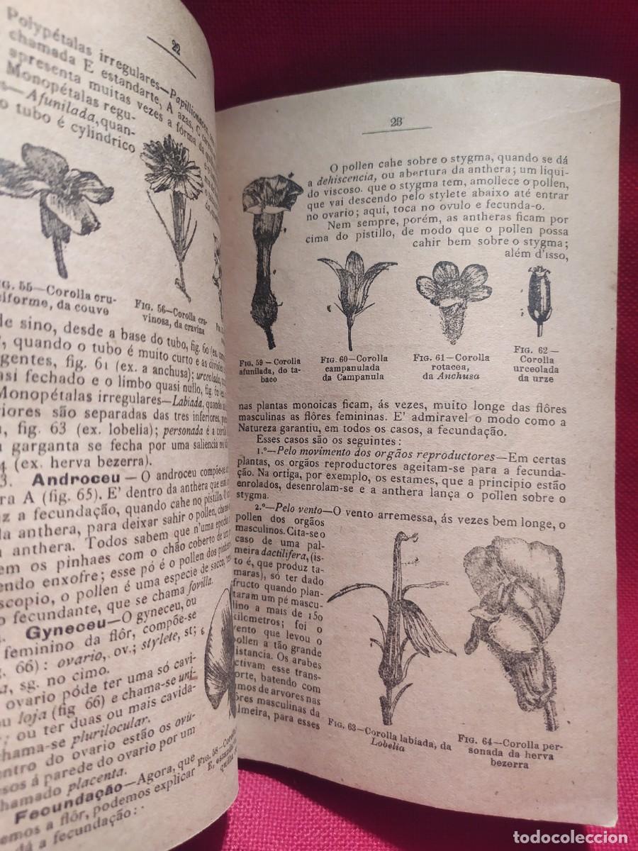 Libros antiguos: 1916. Botanica e agricultura pratica. - Foto 11