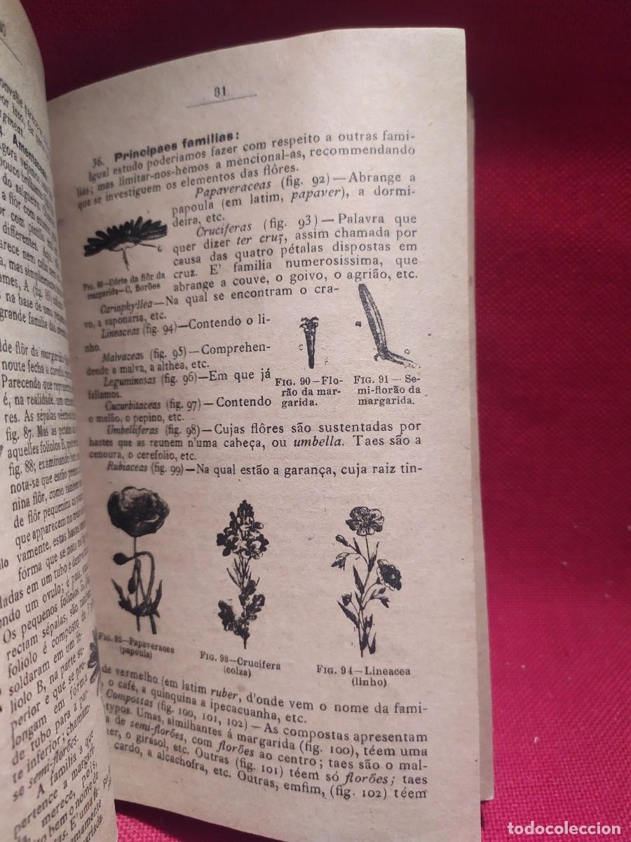 Libros antiguos: 1916. Botanica e agricultura pratica. - Foto 12