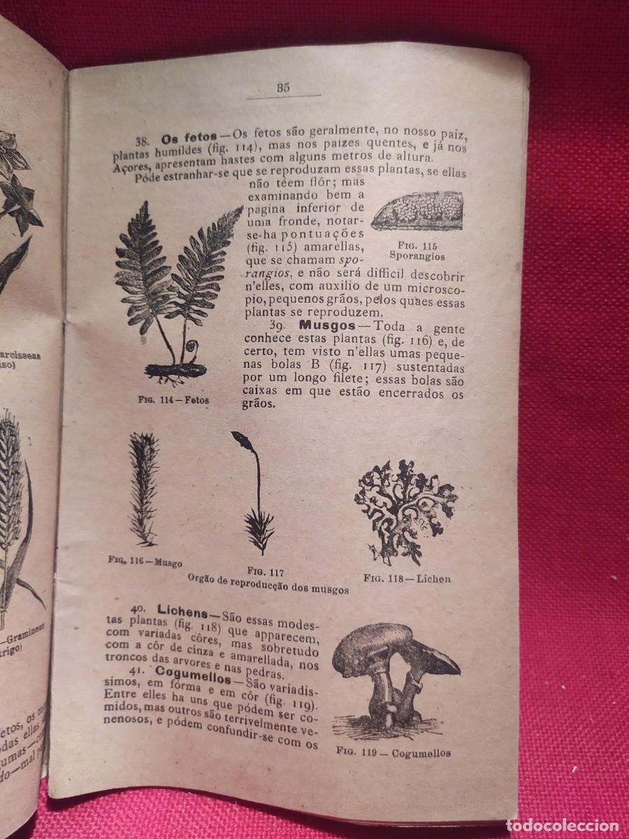 Libros antiguos: 1916. Botanica e agricultura pratica. - Foto 13