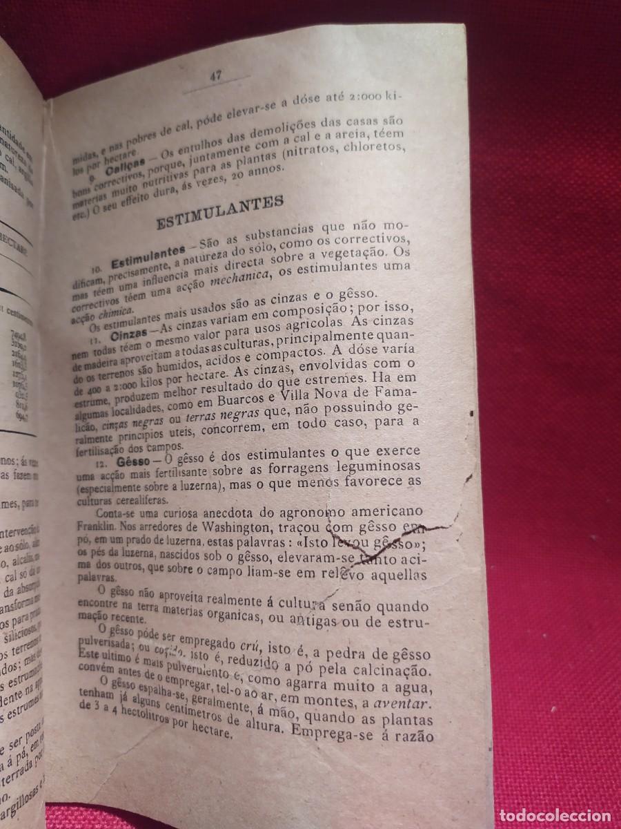 Libros antiguos: 1916. Botanica e agricultura pratica. - Foto 17